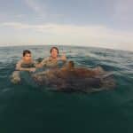 Goliath Grouper and Snook on the Attitude Adjustment