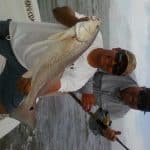 Mullet run has the Redfish on fire