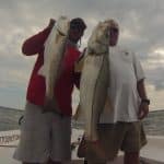 Two days of Snook and Redfish Sebastian Inlet
