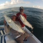 Snook and Redfish going off!