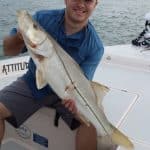 Snook fishing with attitude