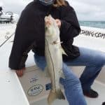 Snook, Redfish, Jacks and rough weather