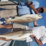 Redfish were chewing for the Attitude Adjustment