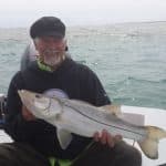 attitudefishing gets a keeper Snook in windy conditions