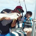 Sebastian Inlet, Snook, Snook, and more Snook