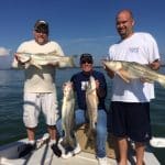 November Snook action is all time for Attitude Adjustment